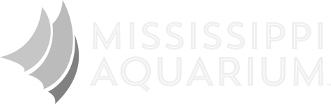Mississippi Aquarium