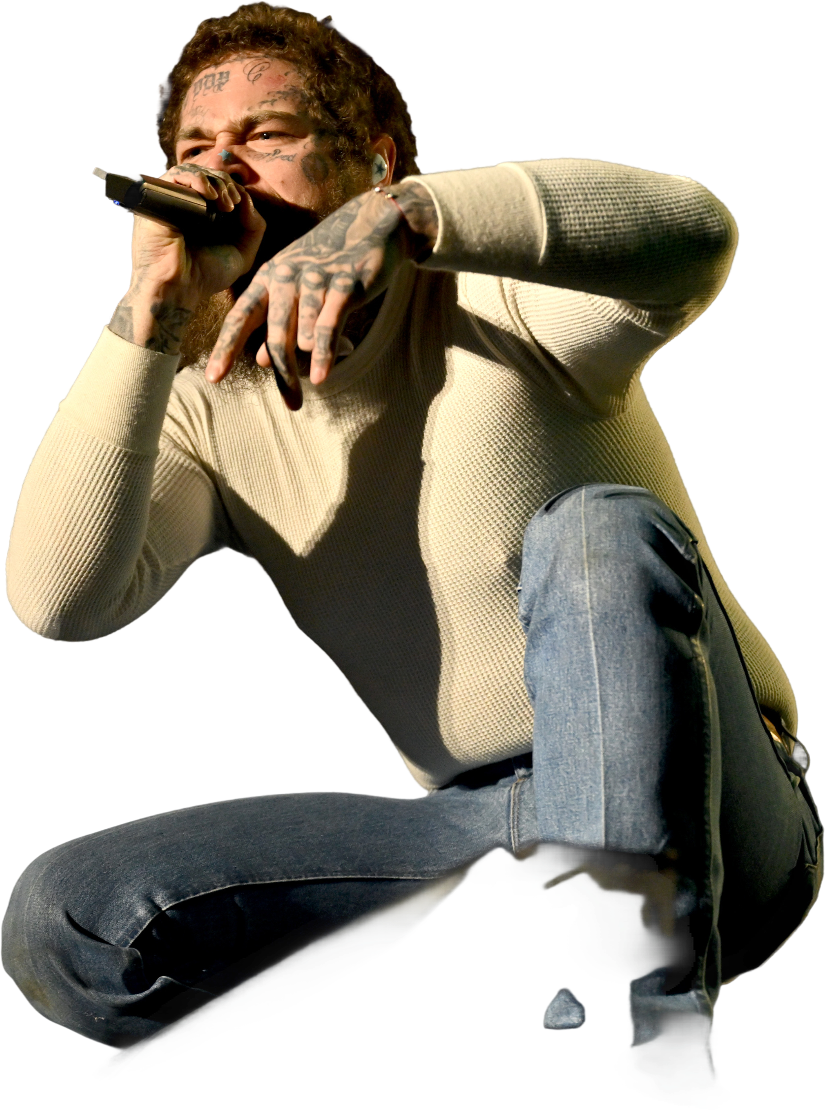 Img 1