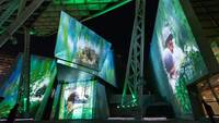   Outdoor Sound and Light Show Debuts at WWII Museum
