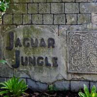   Jaguar Jungle Exhibit at Audubon Zoo