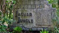   Jaguar Jungle Exhibit at Audubon Zoo
