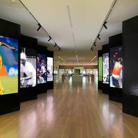   The International African American Museum
